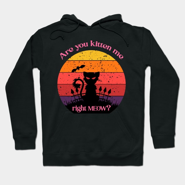 Are you kitten me right meow? Hoodie by FancyDigitalPrint